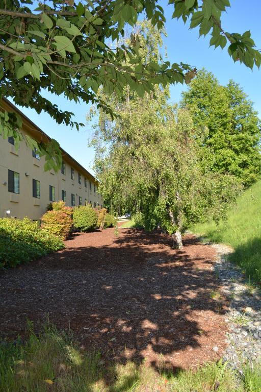 Super 8 By Wyndham Port Angeles At Olympic National Park Motel Kültér fotó